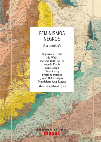 Feminismos Negros. Una antología. Vvaa.